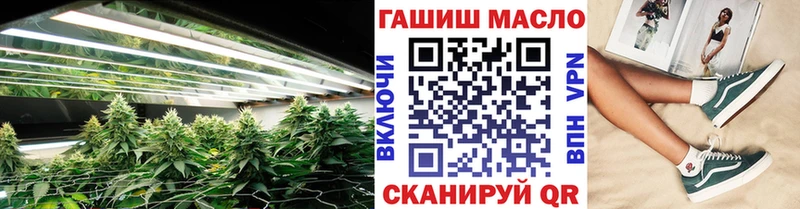 ТГК гашишное масло  MEGA как войти  shop состав  Николаевск-на-Амуре 