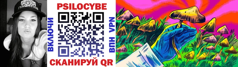 Псилоцибиновые грибы Psilocybine cubensis Николаевск-на-Амуре